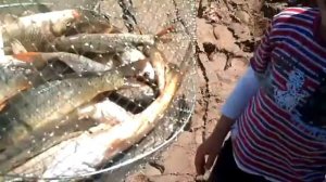 Рыбалка в Ставропольском крае