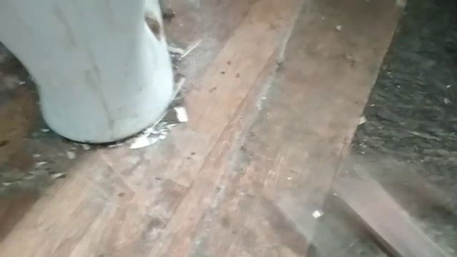 евро ремонт///демонтаж полов///бизнес ремонт///бригада моя;)были касеки#это часть 1