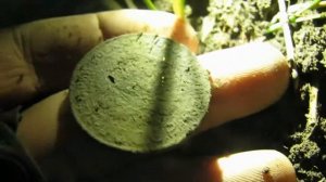 5 копеек 1924 год. "Пятак".