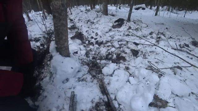 КОПАЕМ МЕТАЛЛОЛОМ В ЗИМНЕМ ЛЕСУ! КОП МЕТАЛЛА 2023!