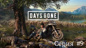 Days Gone ✮Жизнь после✮ ► Серия #9