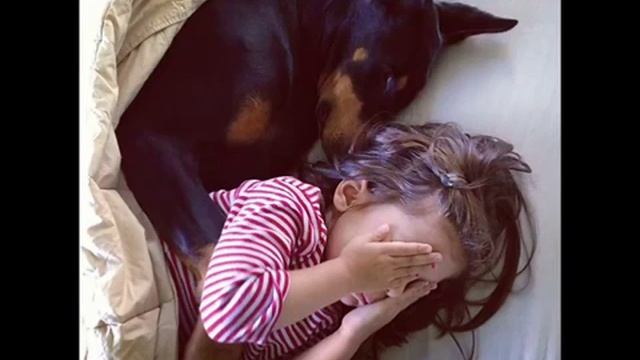 Дружба девочки и добермана смотреть онлайн