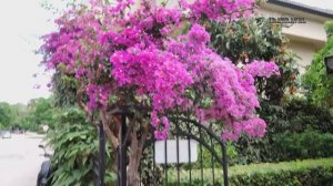 КЕМЕР ТУРЦИЯ 2025ПРОГУЛКИ ПО ГОРОДУ ? ЧЕМ ЗАНЯТЬСЯ В СВОБОДНОЕ ВРЕМЯ