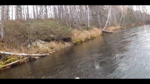 Рыбалка на муху! Тащим рыбу в забродниках! Вот это рыбалка!