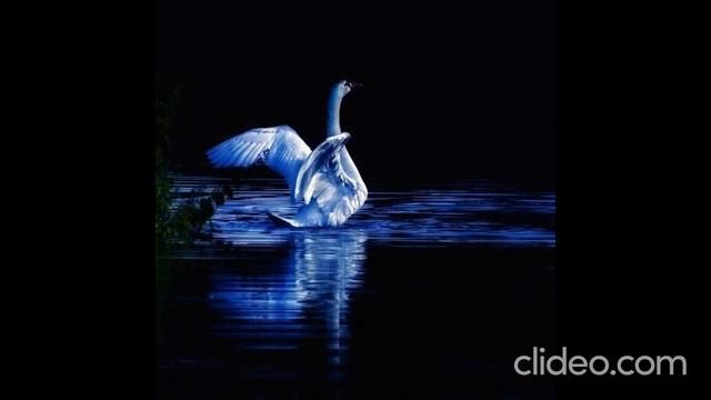 ЛЕБЕДИ Андрей Волшебник авторская песня смотреть онлайн