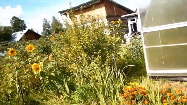 В гостях на даче Полковника смотреть онлайн