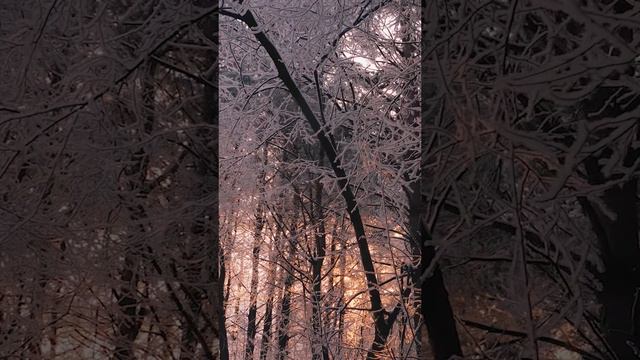 Зимнее настроение ❄️