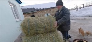 Заказали 23 тюка сена по 150 рублей за тюк Жизнь в деревне
