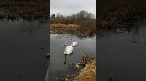 Молитва Земле-Матушке