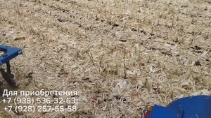 Отзыв фермера | Т-150 в сцепке БДЛ 5х2ПСБ | дисковая борона