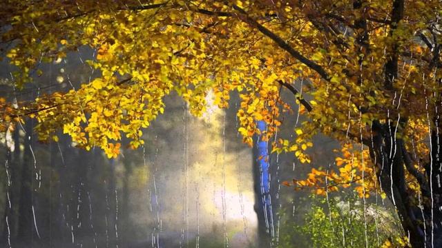 "Листопад". Автор и исполнитель - Виктор Луферов. смотреть онлайн