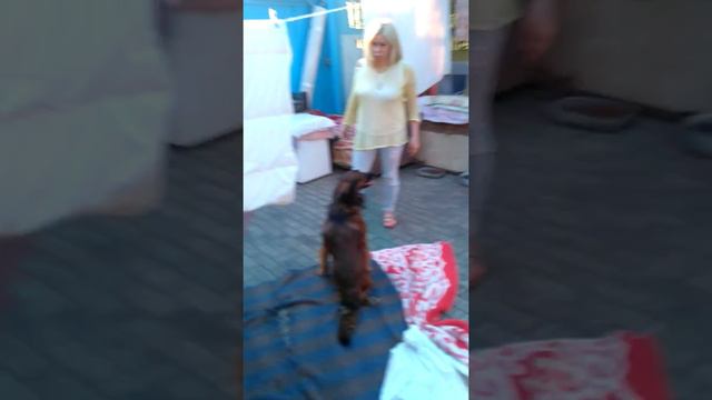 Инвалид спинальник ЧАРЛИК
