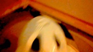 Получил по яйкам!