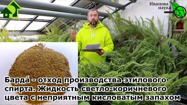 КАКИЕ УДОБРЕНИЯ ЛУЧШЕ? Безопасные, эффективные и даже БЕСПЛАТНЫЕ. Самые БЕЗОПАСНЫЕ удобрения вас!