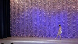 Вариация Амура