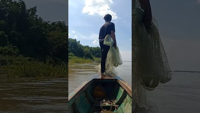 #fishing #river #mekong #shortsvideo