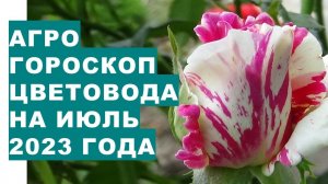 Агрогороскоп цветовода на июль 2023 года. Агрогороскоп квітникаря на липень 2023 року