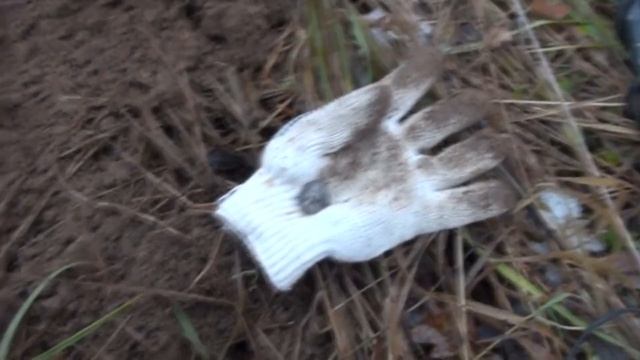 МОЯ ЛУЧШАЯ НАХОДКА С МЕТАЛЛОИСКАТЕЛЕМ АКА СИГНУМ !!! смотреть онлайн