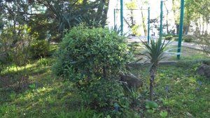 Зеленый Гай г.Туапсе Санаторий сети РЖД-ЗДОРОВЬЕ Виктория влог