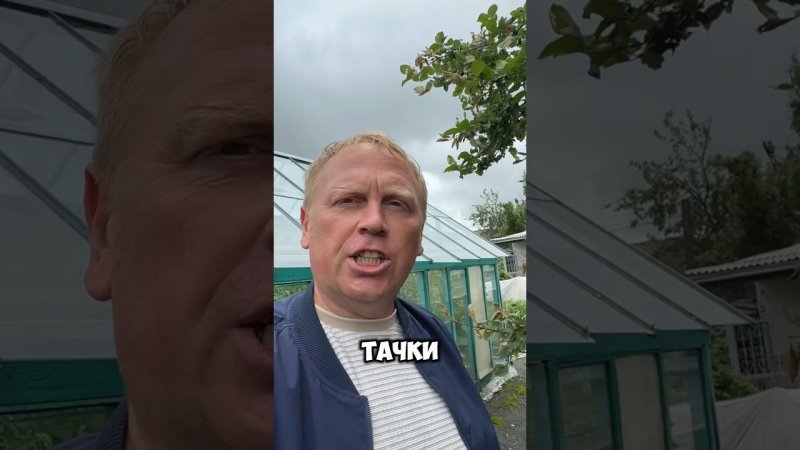 Тачки