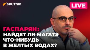 Гаспарян: МАГАТЭ едет в Желтые Воды, планы Зеленского по «деоккупации» и ирисы для Штайнмайера