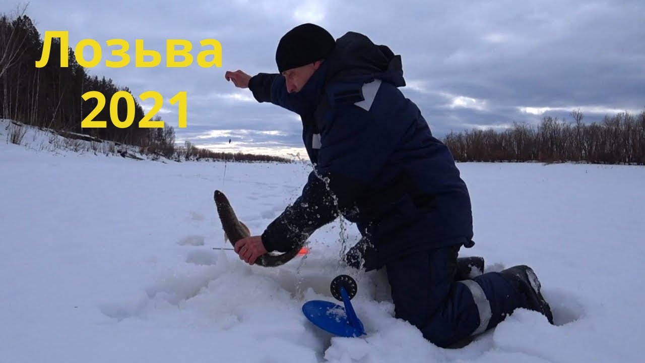 Рыбалка на Лозьве. Лозьва рыбалка. Посидим порыбачим.