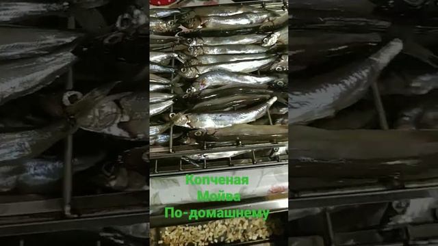 Мойва копчёная свежая и очень вкусная рыбка #shorts #short #dizzy51style #вкусно #рецепт #fishing