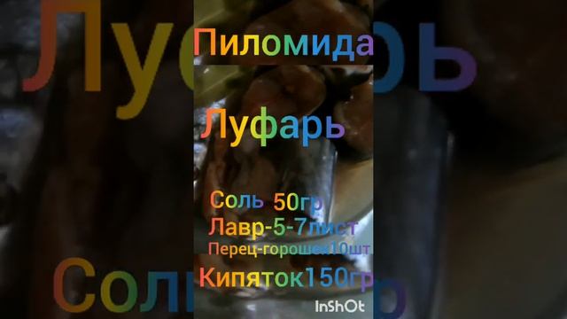 рыба пиломида луфарь