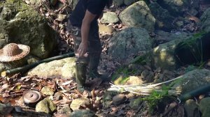 Bamboo Survival Shelter, Wild Food, Catch and Cook: Survival Alone | EP.247