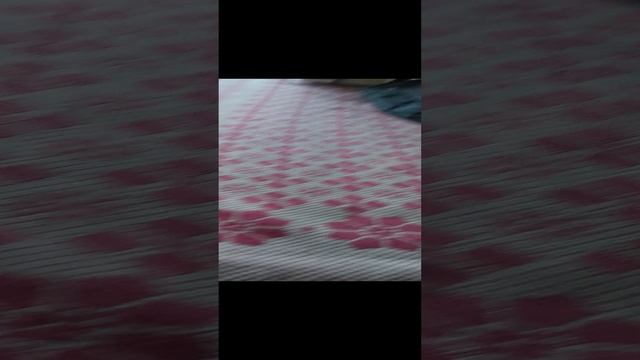 я не могу выпускать ролики