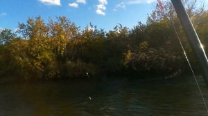 ловля тайменя и хариуса осенью