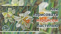 Как нарисовать нарциссы пастелью.