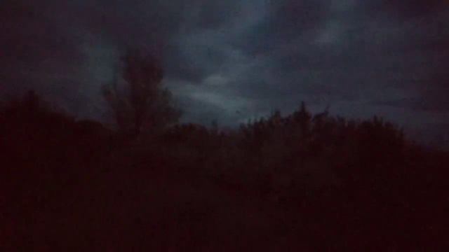 Пение Соловья Вечер в деревне, Звуки села, Май Деревня Тишина Красиво