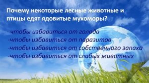 Познавательная программа "Берегите землю, берегите"