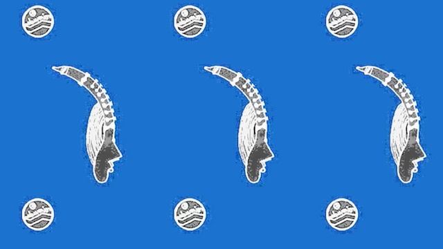 rimuda Sketch gallery смотреть онлайн