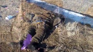 Дебальцево / Окружения не было (18+)