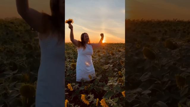 ржачные подсолнухи.mp4
