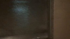 ?? Лучший семейный отдых в Эмиратах. Saadiyat Rotana 5*. ОАЭ, Абу-Даби. #отдыхвоаэ #оаэ #эмираты