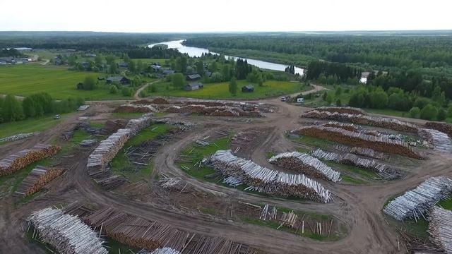 Балансовая древесина смотреть онлайн