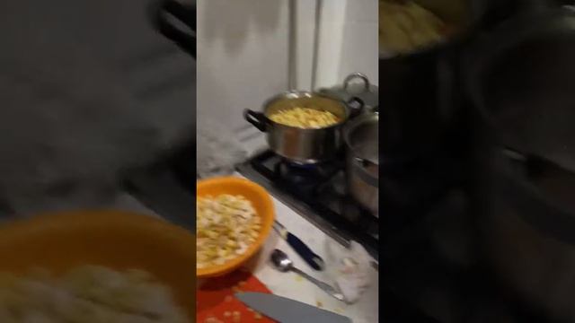 Гриб ЦАРСКИЙ смотреть онлайн