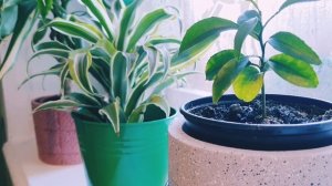 ПЕРЕДЕЛКА СТАРОЙ КУХНИ | красим плитку | декор