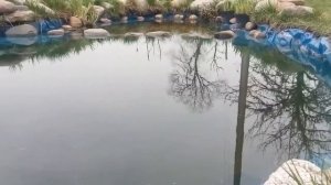 Рыбалка в огороде. Караси в дачном пруду.