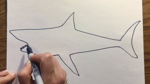 Как нарисовать акулу. How to draw a shark