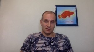 "Рифовый Аквариум" Проблемы из-за Фосфата. Часть 67