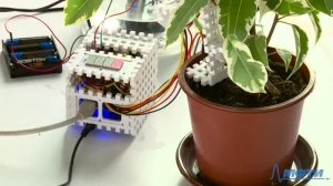 4.15 Как Поливалли поливает