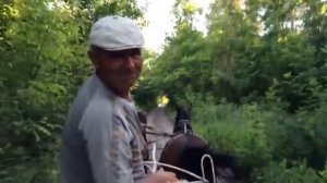 Жене. Стихи, поэт Алексей Брянцев.