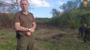 Работники Стаханово-Алчевской межрайонной природоохранной прокуратуры обнаружили незаконную вырубку