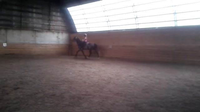 Учимся рысить правильно смотреть онлайн