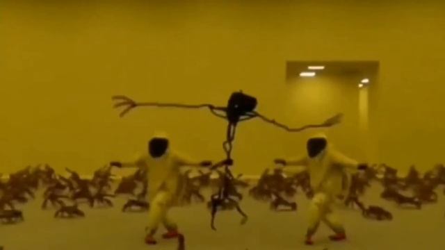 Люди танцует в закулисье под музыку Виктора Цоя смотреть онлайн