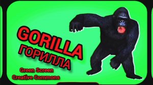 Большая горилла видео Green Screen футаж. Хромакей анимация на зелёном фоне.